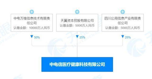 中国电信成立医疗健康科技公司